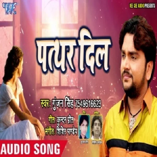 Patthar Dil (2018) Gunjan Singh