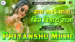 Mara Tara Maja Bin Biyahe  Bhojpuri Dj Remix Gaana 