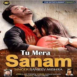 Tu Mera Sanam (2019) Sanjeev Mishra