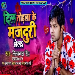 Dil Todla Ke Majduri (Neelkamal Singh)