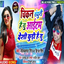 Chikan Tanduri Hai Tu Item Desi Kudi Hai Tu (Neelkamal Singh)