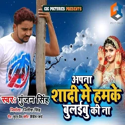 Apna Shadi Me Hamke Bulaibu Ki Na (2019) Gunjan Singh