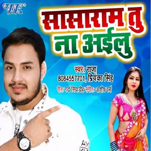 Sasaram Tu Na Ailu (2019) Ankush Raja, Priyanka Singh