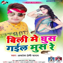 Billi Me Ghus Gail Mush Re Songs