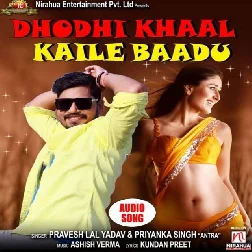 Dhodhi Khaal Kaile Baadu Song
