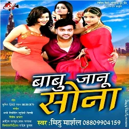 Babu Janu Sona Kahike Kahe Gailu Bhulai Full Song
