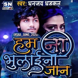 Ham Na Bhulilee Jaan - Dhanjay Dhadkan Song