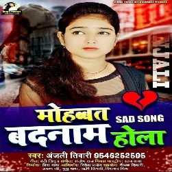 Mohabbat Badnam Hola - Song